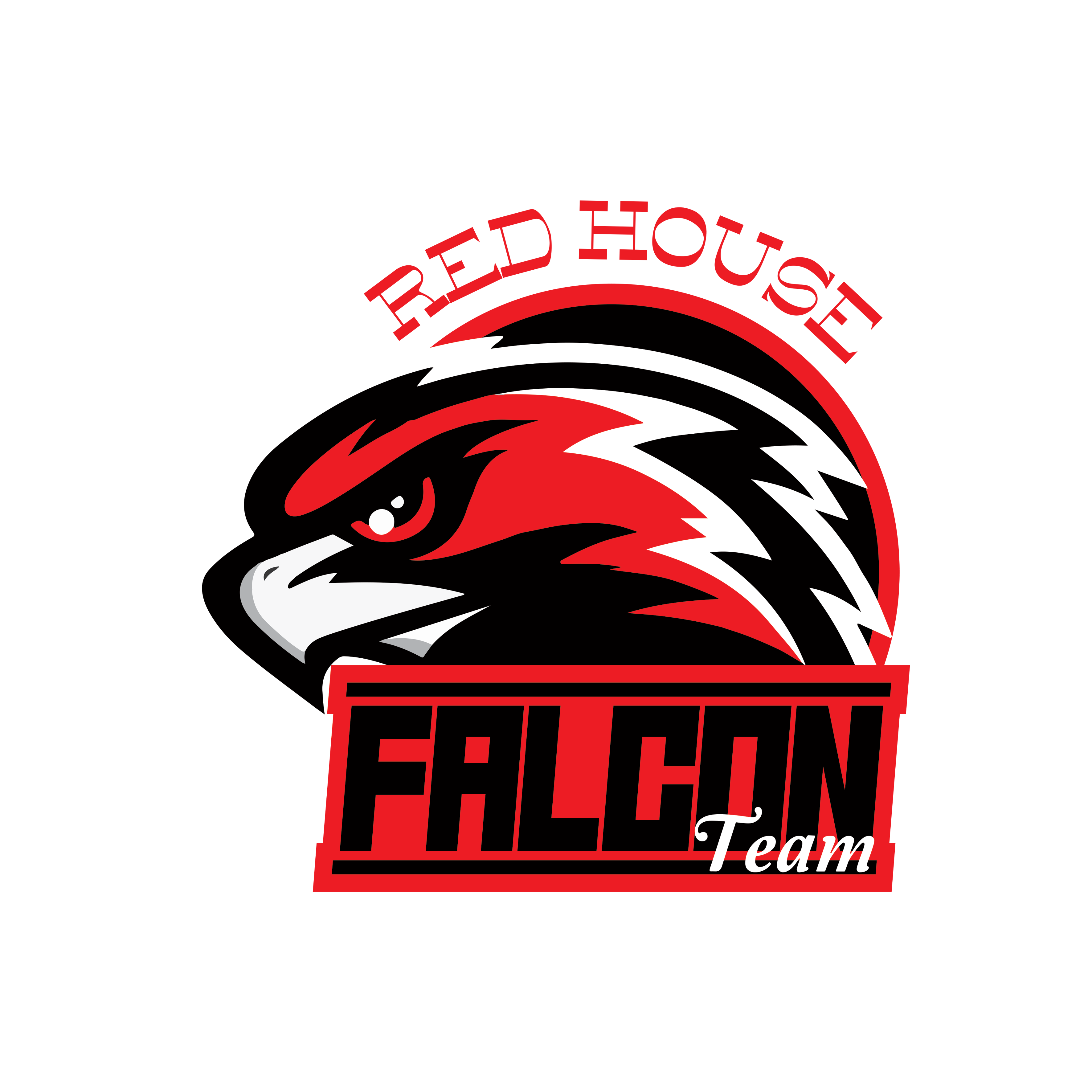 Falcon Logo