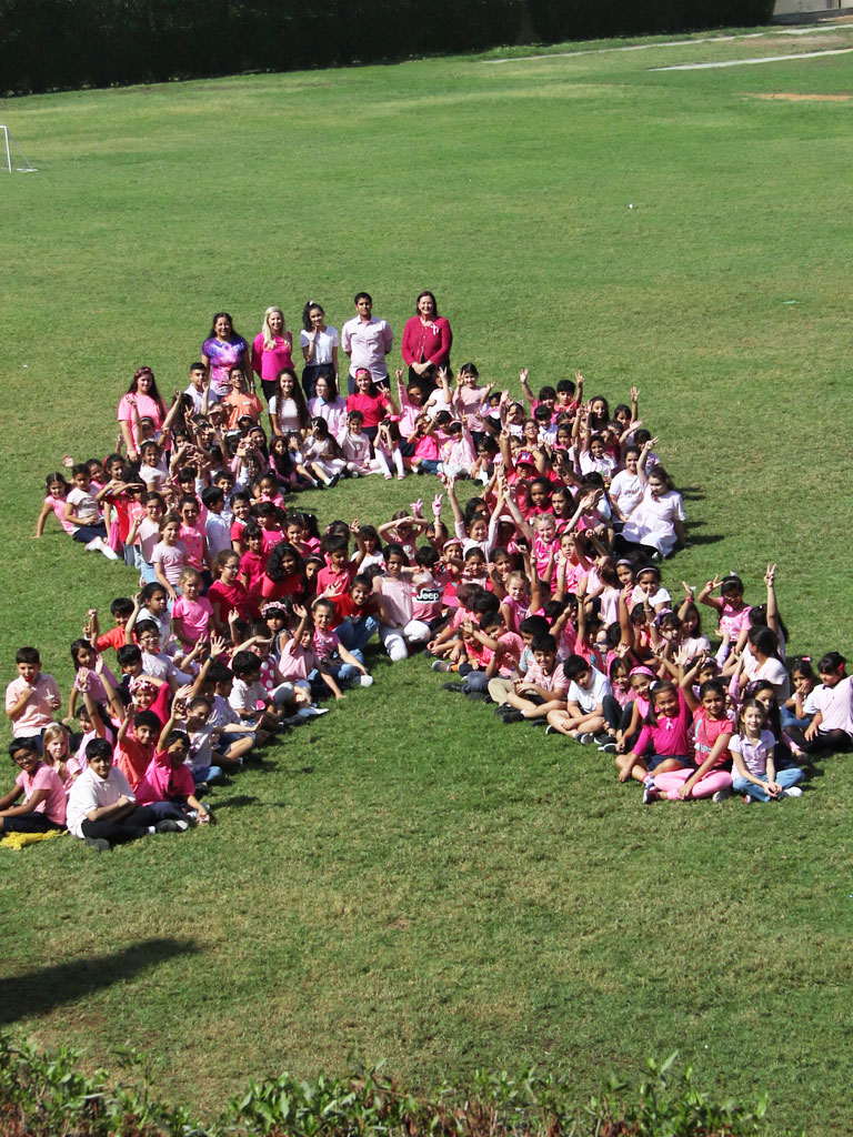 Pink Ribbon Day 2017 News Australian International School